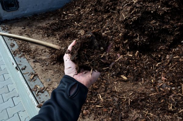 Condo Mulching in Prescott