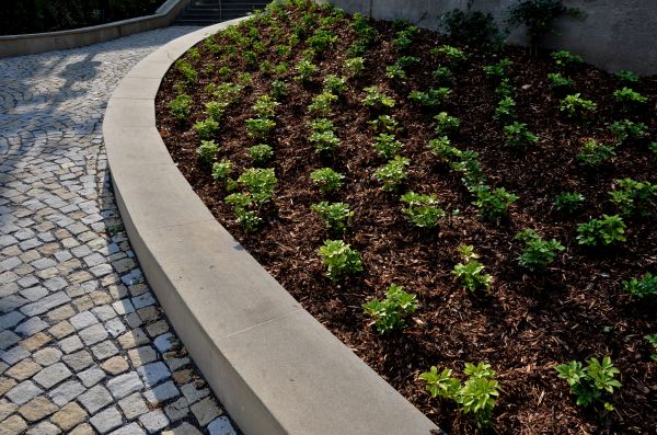 Commercial Mulching in Prescott
