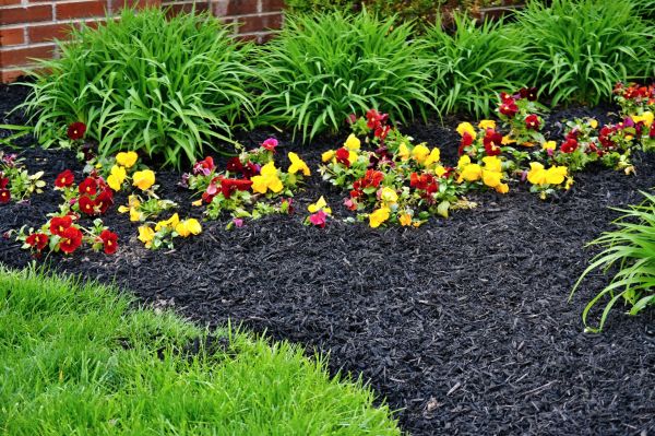 Apartment Mulching in Prescott