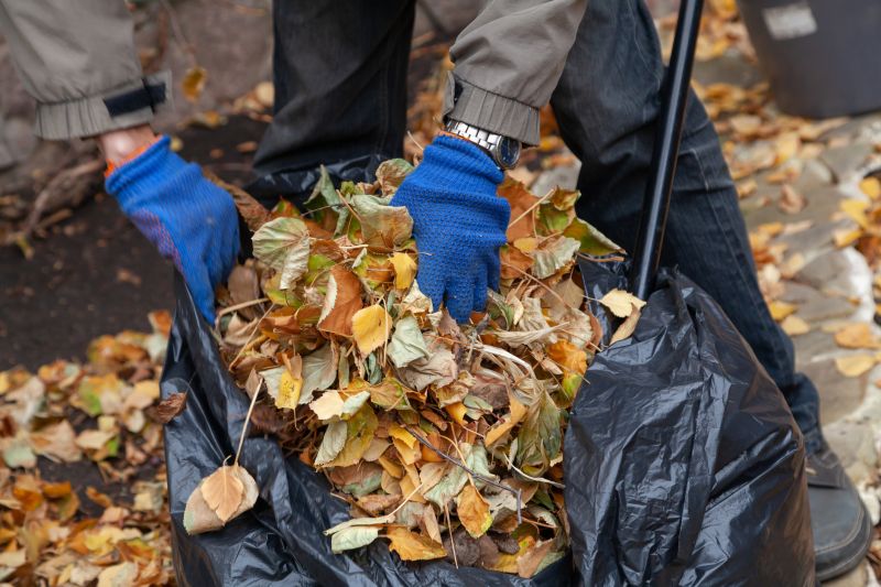 Leaves Disposed Properly