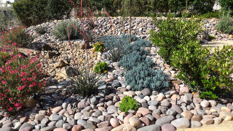Beautiful Xeriscape Gardens