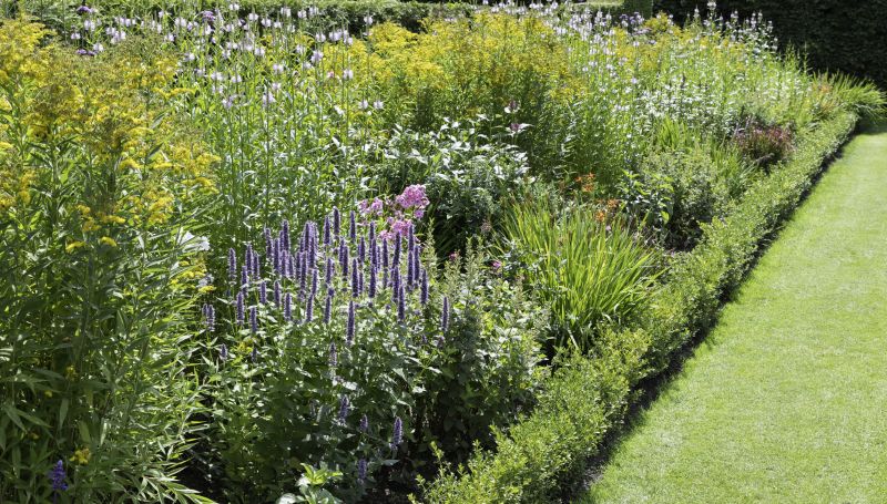 Native Plant Landscapes