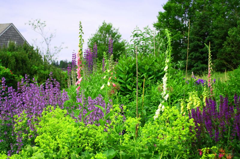 Native Plant Gardens